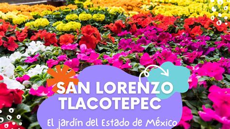 Masaje sexual San Lorenzo Tlacotepec